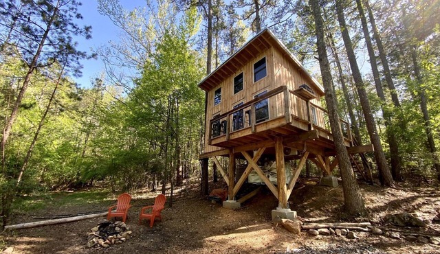 Luminous Peaceful Treehouse with Incredible Forest Views and Fire Pit in Arkansas
