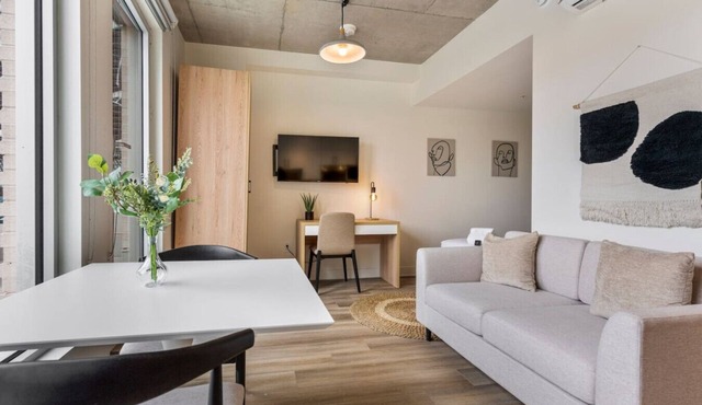 Luminous Studio with Big Terrace