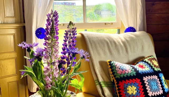 Lupinfield Cottage - a Curated Guesthouse Experience