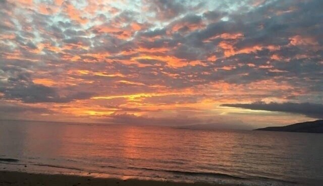 Lush Garden Charmer - Breathtaking Sunsets