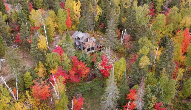 Lutsen Little Bear Lodge - Secluded Lutsen Mountain Cabin With Superior View