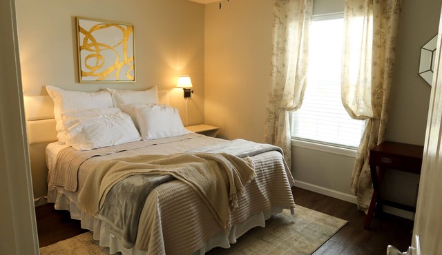 Lux 2 Bedroom 2.5 Bath/Dog Friendly 511A