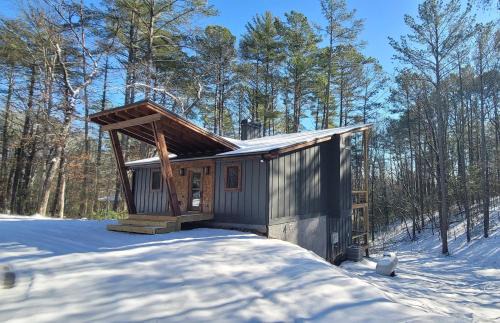 Lux Blue Ridge Cabin, Hot tub, Swing, PingPong!