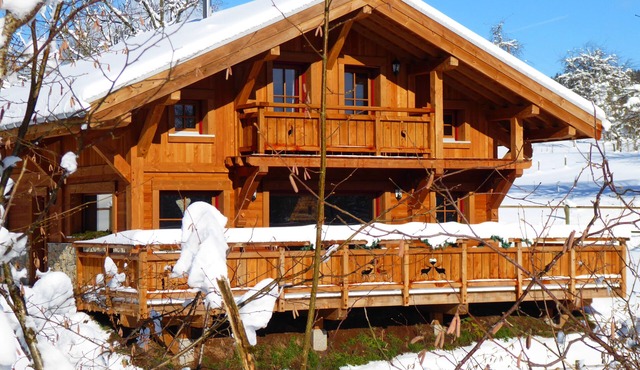 Lux. Chalet with sauna in the Vosges with swimming pond