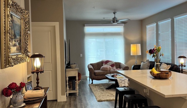 Lux College Station Apartment