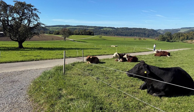 Lux Duplex apartment with Sauna & Cold plunge 10 mins from Zürich city