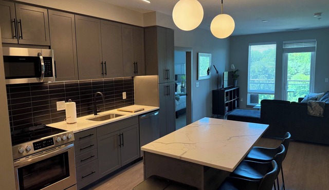 Lux Modern apartment in Columbia with WiFi, balcony, sofa bed, pool and a gym!