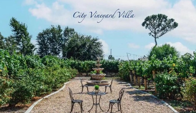 Lux Vineyard Retreat in 20,000 sqft lot near ONT