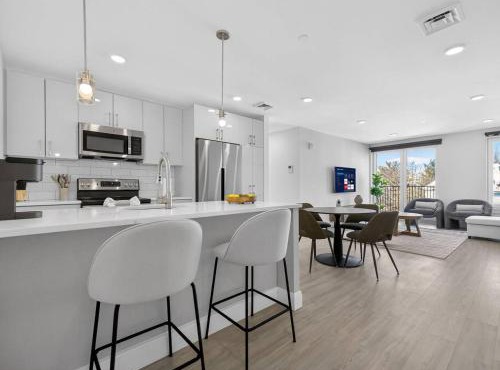 Luxe 3BD allston