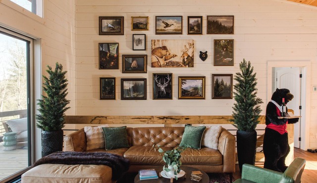 Luxe Cabin 3 Kings, Hot Tub, Views Blue Ridge