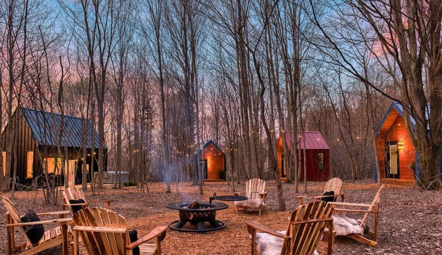 Luxe Cabin /Hot Tub / EV Charger