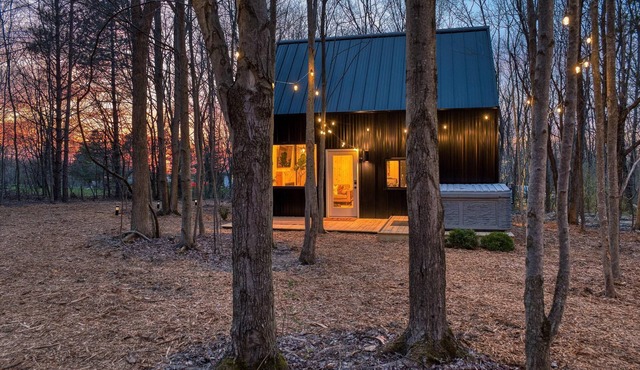 Luxe Cabin/Hot Tub/EV Charger