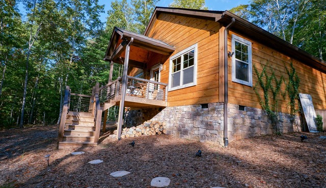 Luxe Cabin Retreat HotTub 20 min Blue Ridge Vineyards Games Firepit Pets