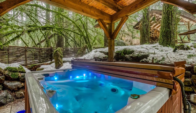 Luxe compound with private sauna, hot tub, rec house & fireplace