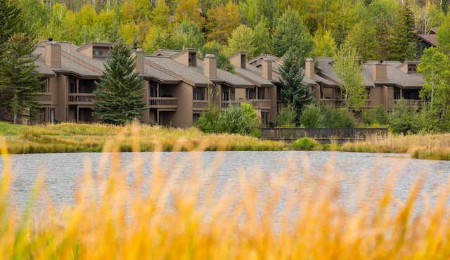 Luxe home with Modern Design, Chef