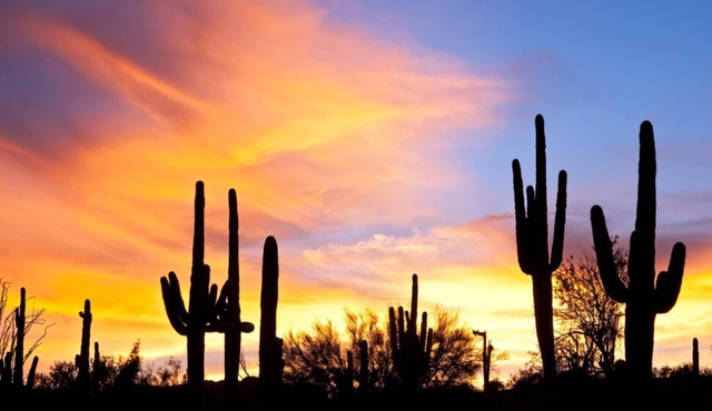 Luxe Modern Villa w 2 King beds, heated pool/spa & mtn views in East Scottsdale
