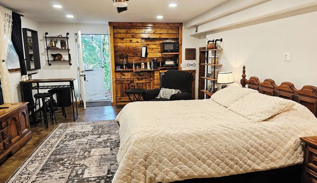 Luxe Studio Apartment in the Burbs w/wooded lot