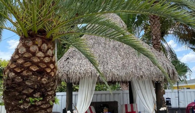 🌺Luxe Tropical Paradise🌺Superhost🌺Post-Op 🌺Solo & Couples Escape in Miami🌺