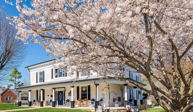 Luxe Virginia Historical Estate w/Charcoal Grill!