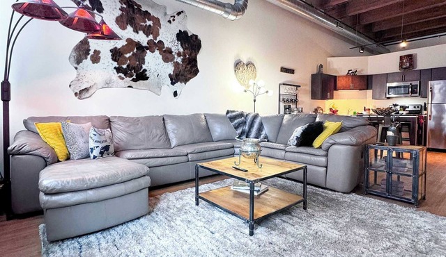 Luxéry Stay "Game of Thrones" Downtown/McCormick/WinTrust Area