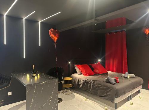Luxueux appartement avec jacuzzi dans le centre de Macon ,snacking et cadeau
