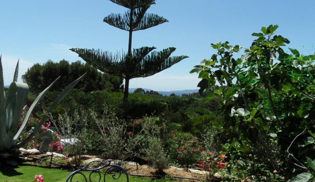 luxueux appartement 68 m2 petite vue mer