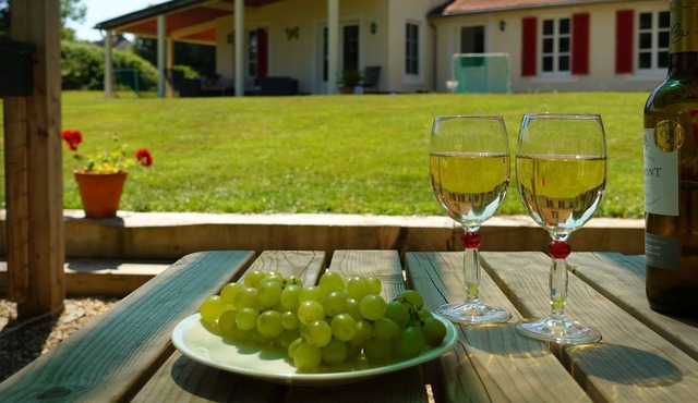 Luxury holiday villa in rural area