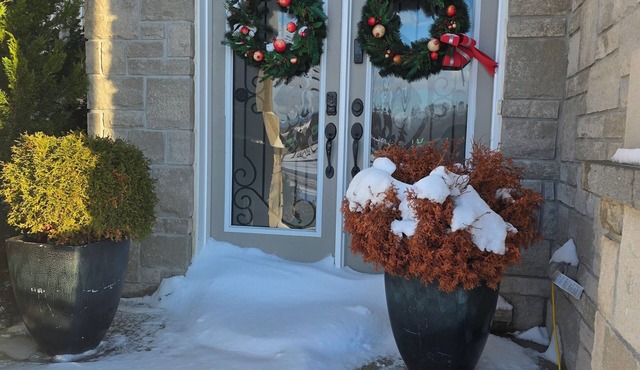 Luxuriant Haven Retreat 3 Bedrooms - 3 Bedrooms: 2 King size beds & a Queen size