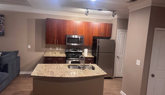 Luxurious 1 bedroom Apartment