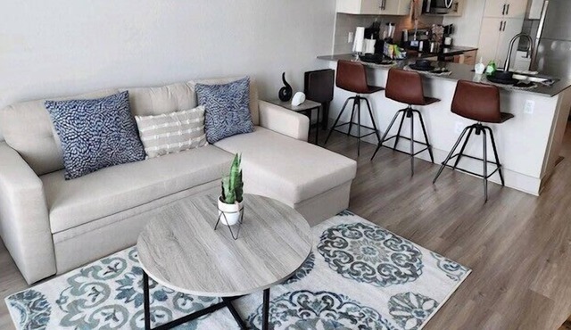 Luxurious 1 BR Apt in Ybor City