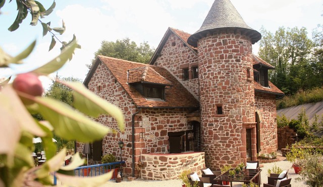Luxurious 17th century mill entirely renovated.jakuzzi,Clim,wifi swimming pool.