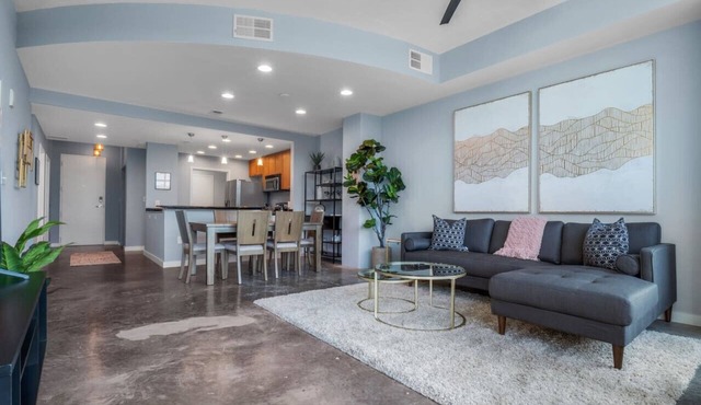 Luxurious 2/2 Downtown Apartment