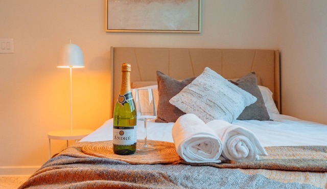 Luxurious 2BDR apartment with WiFi, fitness room in channelside Tampa