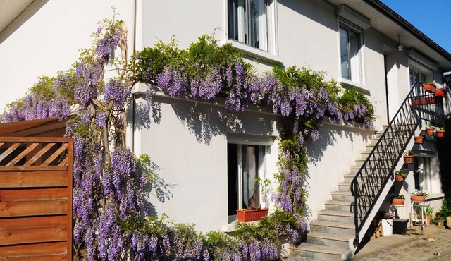 Luxurious 3 bedroom Apartment set in the heart of the Pyrenees.