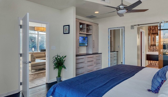 LUXURIOUS 3 BEDROOM APARTMENT in DOWNTOWN ORLANDO