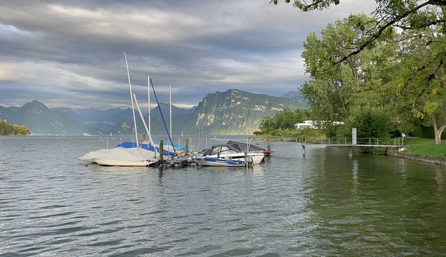 Luxurious 3-floors Villa. Pets-Friendly! 5 min to the city centre of Lucerne!