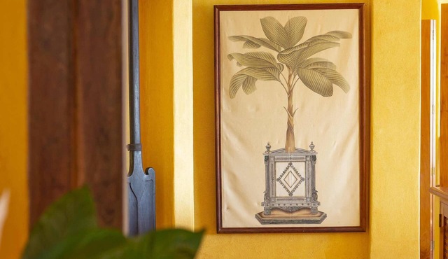Luxurious 4 Bedroom Casita in Exclusive Costa Careyes