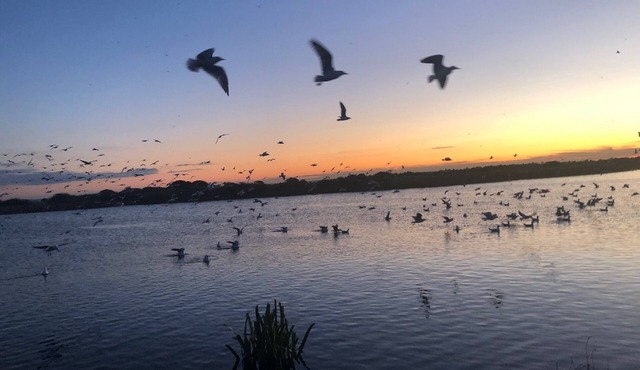 Luxurious 5 bed family home in marine sanctuary