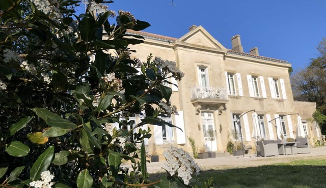 Luxurious 5 bedroom chateau