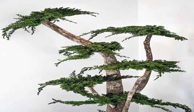 Luxurious 5BR 10p apartment with terrace Monaco