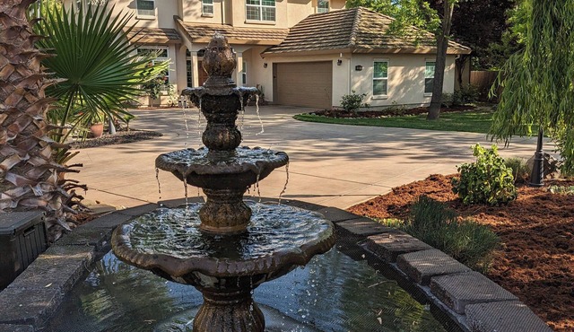 Luxurious 5BR w/Pool Oasis in Fair Oaks, CA