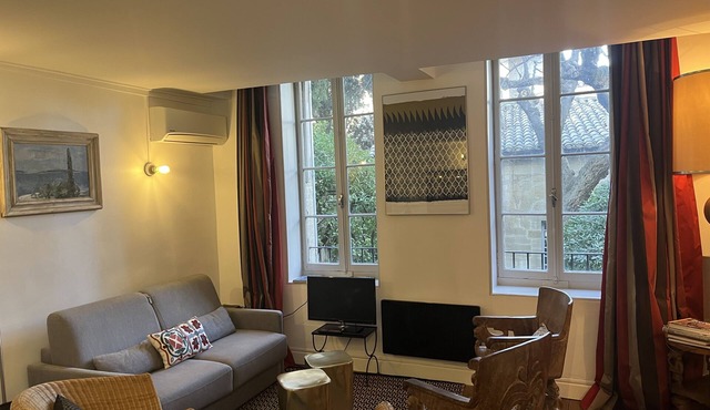 Luxurious apartment in front of the Palace of the Popes A/C