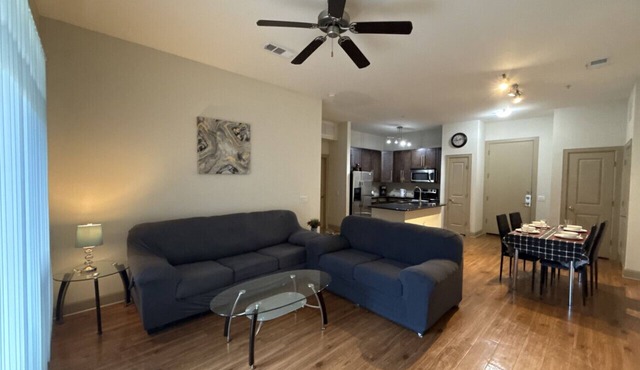 Luxurious Apartment near Texas Medical Center