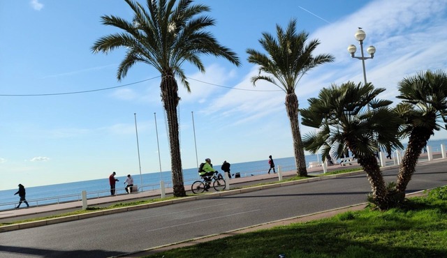 Luxurious apartment, wifi, air conditioning, 50M from the beach