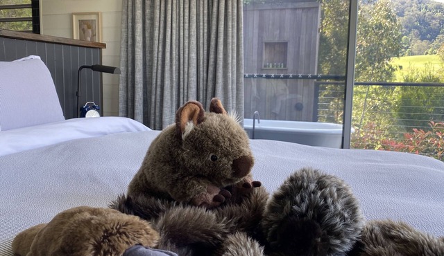 Luxurious Boutique Cabins (2 King Bedrooms) and Amazing Views in Kangaroo Valley