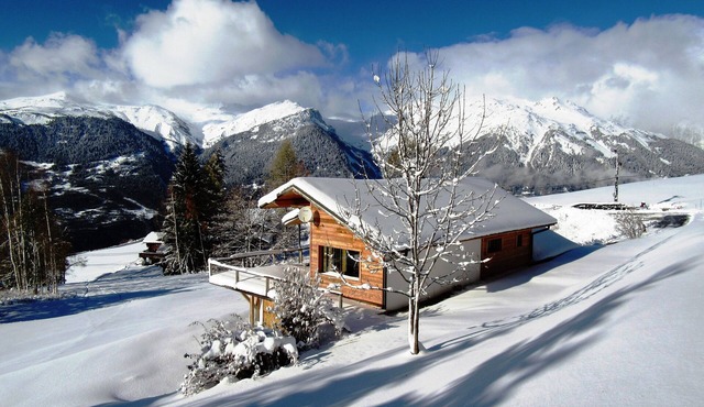 Luxurious chalet 12/16pp 250M2 La Plagne renovated in 2013. Ski in - ski out