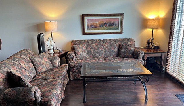 Luxurious comfortable Lakeview Cap Tremblant Smart Home Condo with A/C