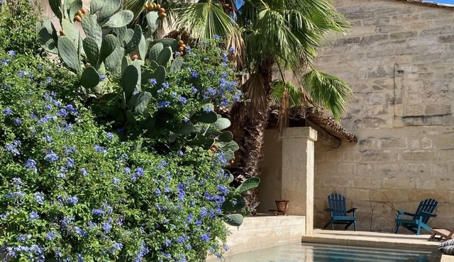 Luxurious contemporary Provençal farmhouse with swimming pool in the heart of the village