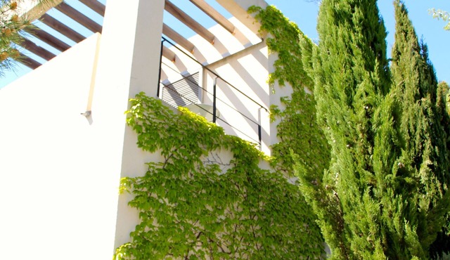 Luxurious designed villa, vineyards, 5000 m2 plot, 13 m pool, close to village