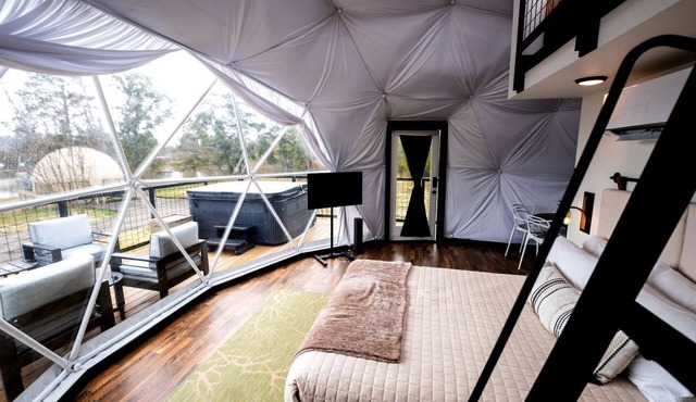 Luxurious Dome with Lake Views in Cedar Bluff, Alabama